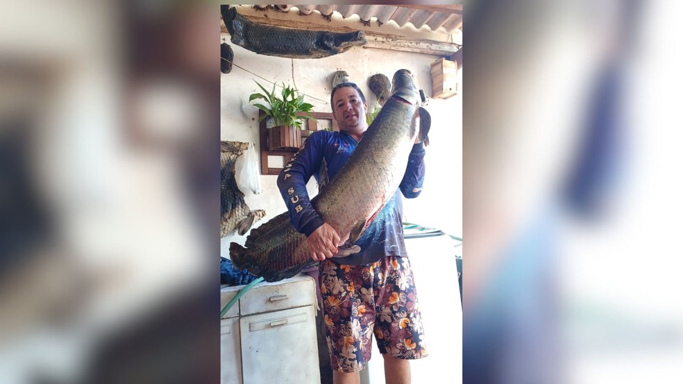 Ederson Ozório capturou seis pirarucus no Rio Grande em Mira Estrela (SP) — Foto: Arquivo Pessoal