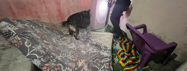Operação Aparato: policiais fazem buscas em endereços ligados a facções criminosas no litoral do Piauí — Foto: Divulgação