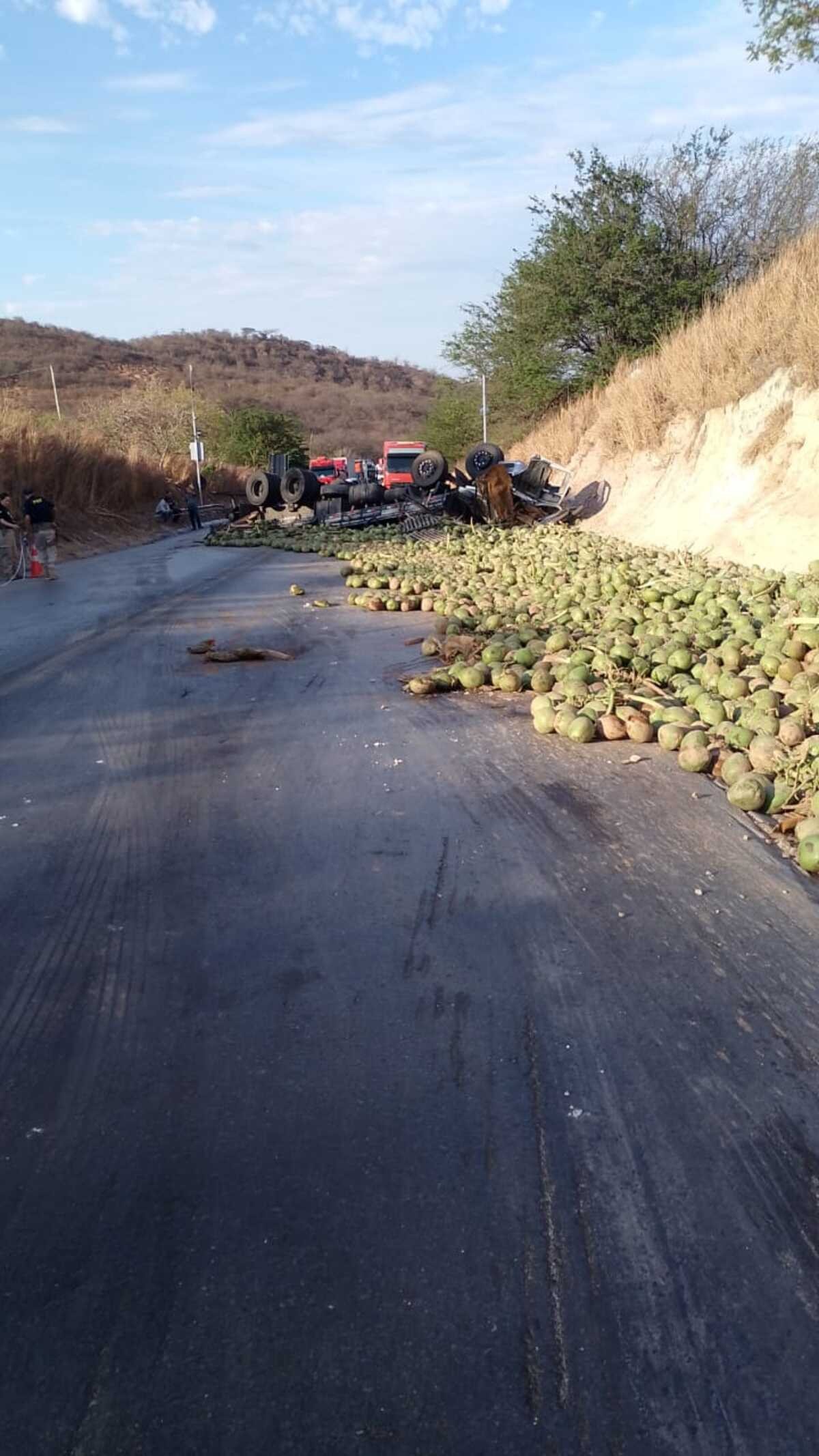 Caminhão carregado com cocos capota na Serra de Francisco Sá e motorista morre