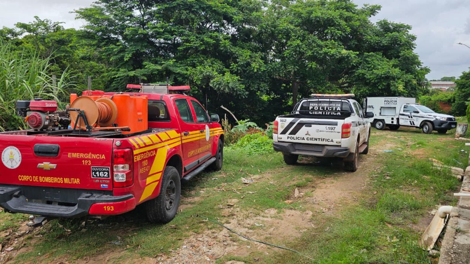 Polícia encontra corpo em área de mata em Teresina e suspeita é de que seja de fugitivo de penitenciária