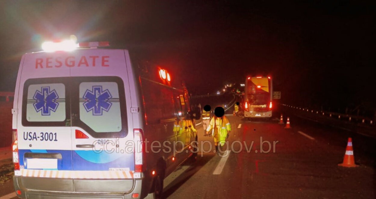 Ônibus com 21 passageiros atropela bovino na Rodovia Washington Luís em Rio Claro