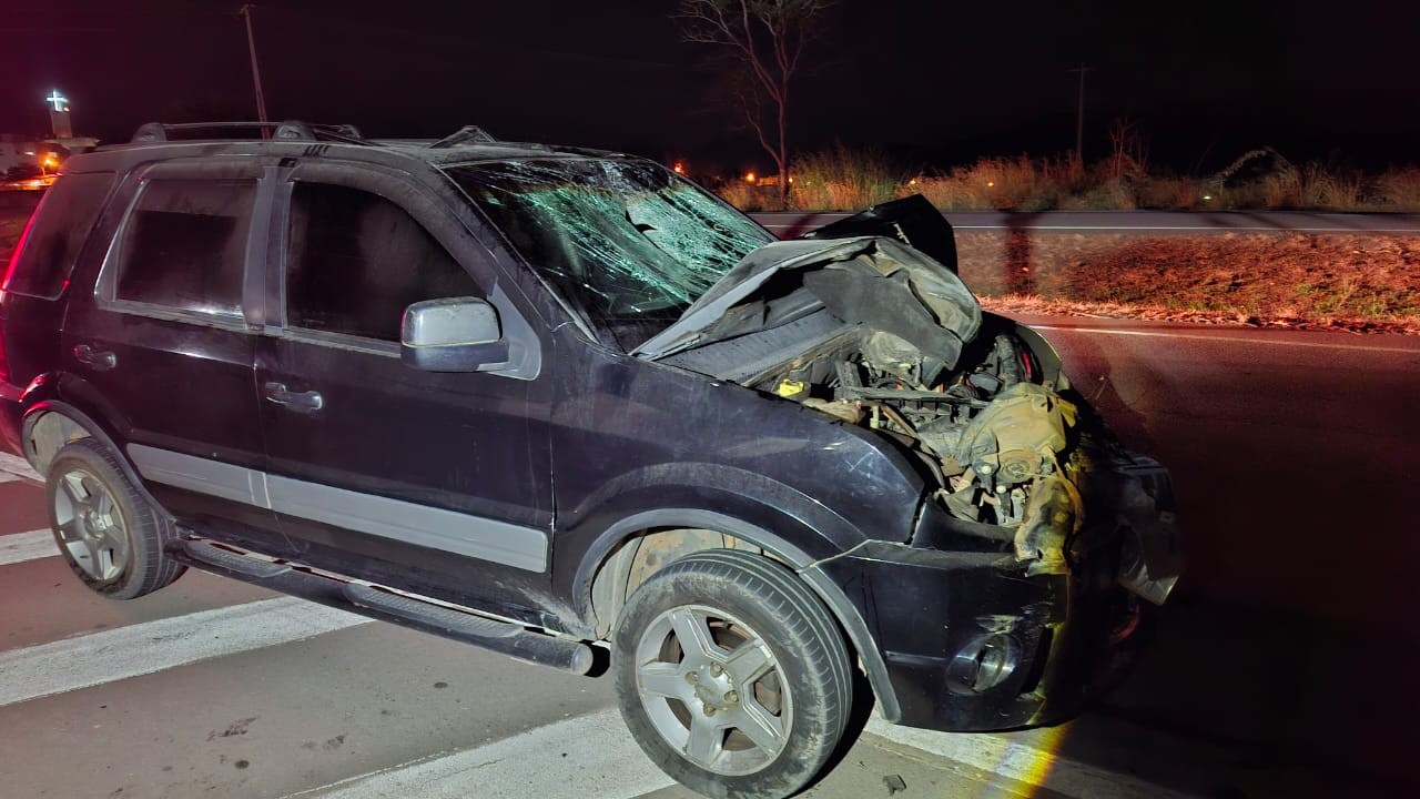 Homem morre atropelado na BR-262, próximo a Torneiros, em Pará de Minas