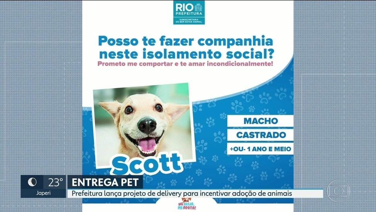 Prefeitura do Rio lança projeto de delivery para incentivar adoção de ...