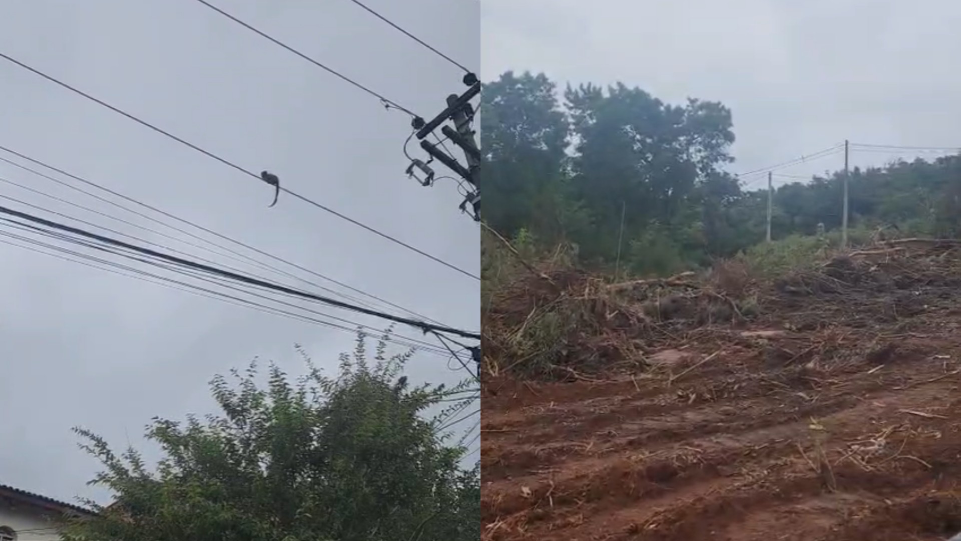 Justiça dá 5 dias para Prefeitura de Sorocaba se manifestar em ação que pede suspensão das obras na Marginal do Itanguá