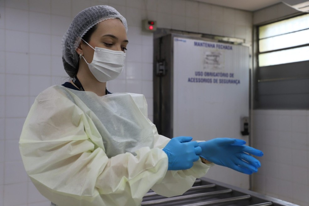 Perita mÃ©dica-legista TaÃ­s Cristina Zottis Barsaglini. â Foto: ReproduÃ§Ã£o