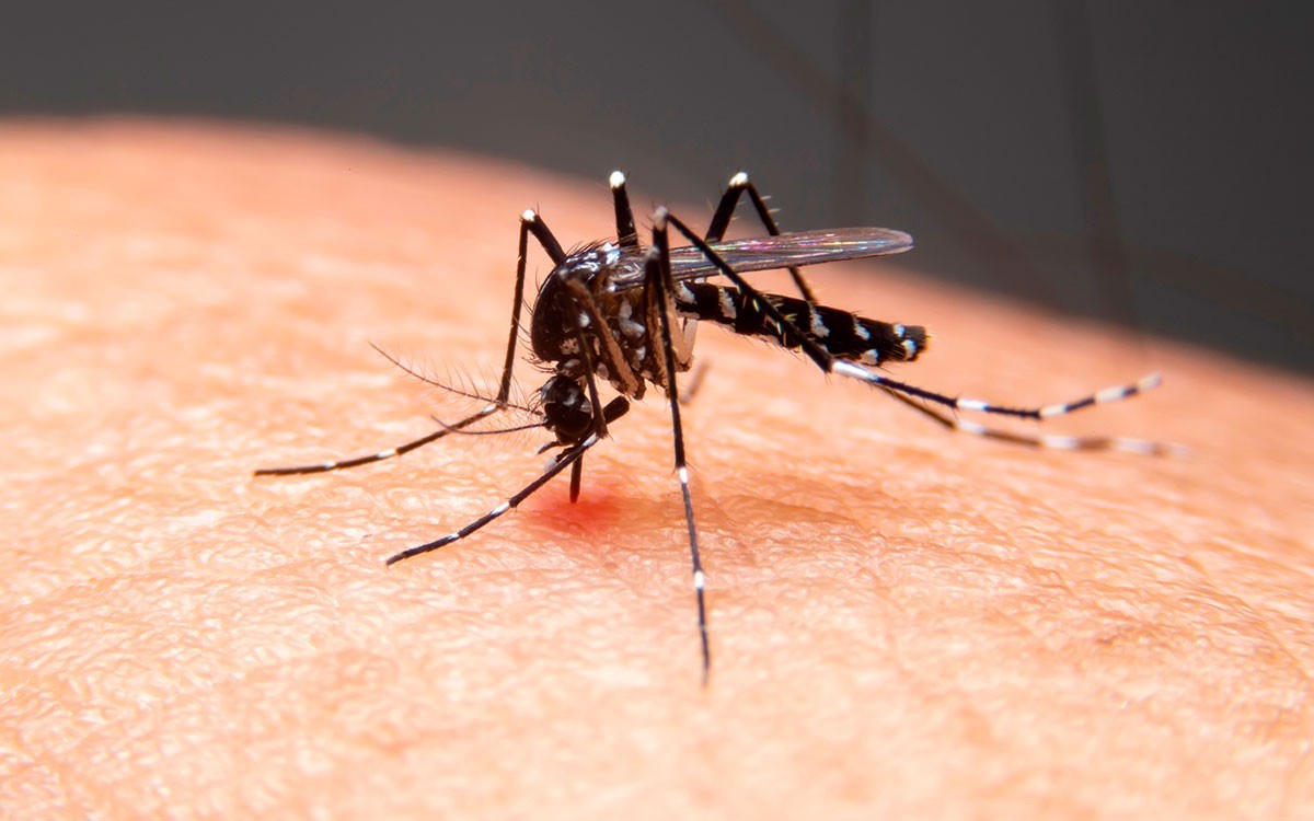 Casos confirmados de dengue caem 86% no primeiro semestre no Alto Tietê