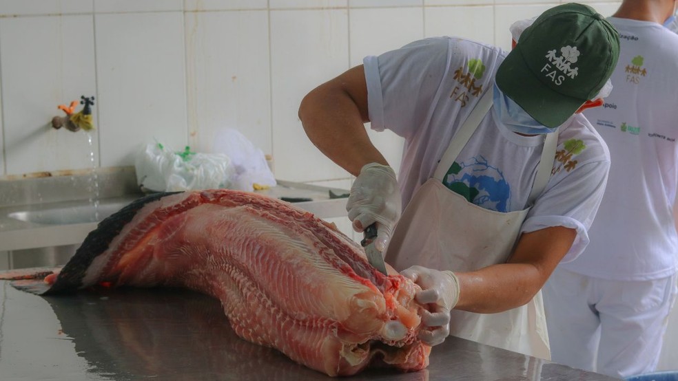 FAS realiza Feira do Pirarucu com preços a partir de R$ 7, em Manaus |  Amazonas | G1