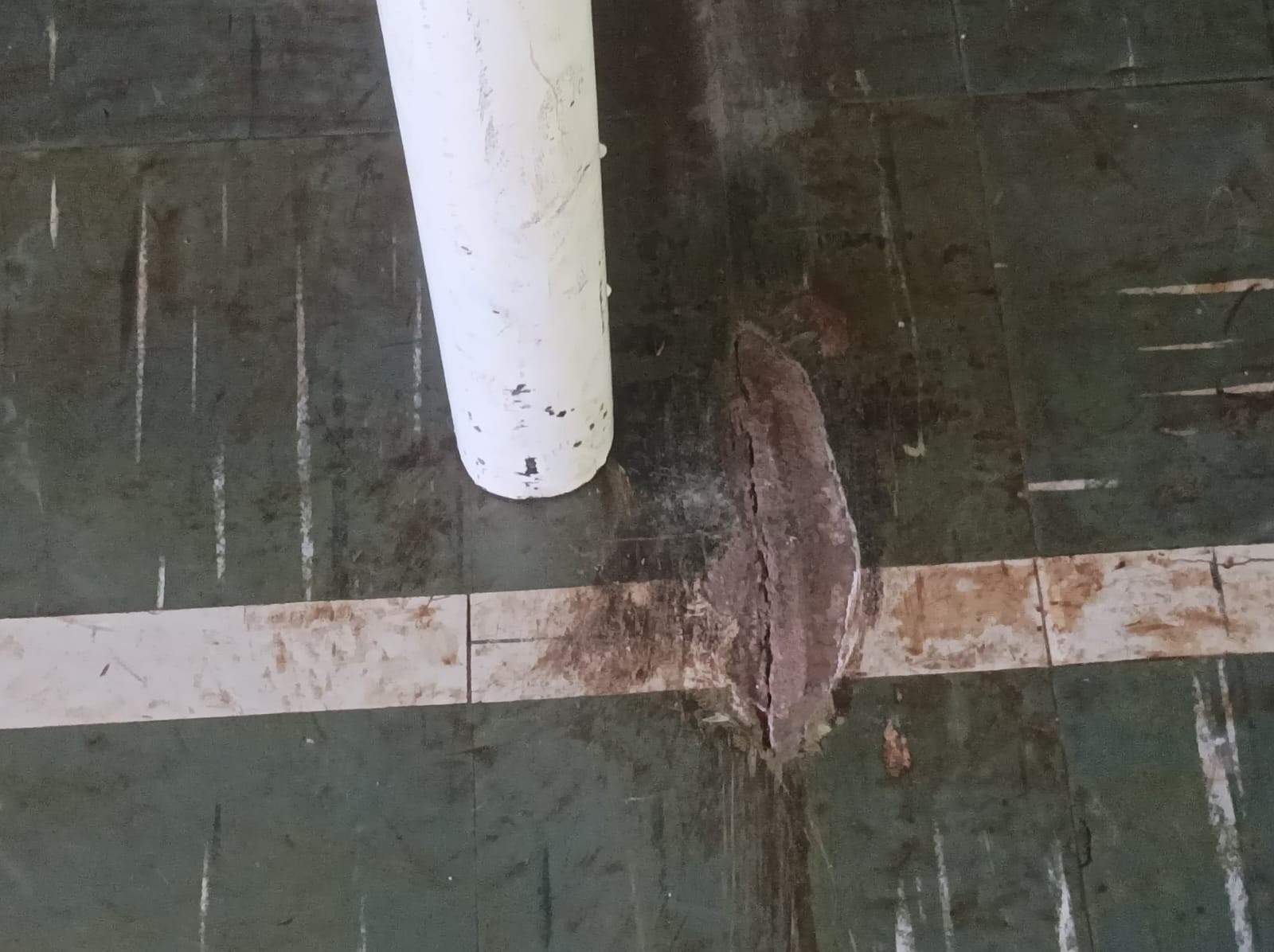 Tragédia no Paraná: Menino de 12 Anos Morre Após Acidente Chocante com Trave de Gol