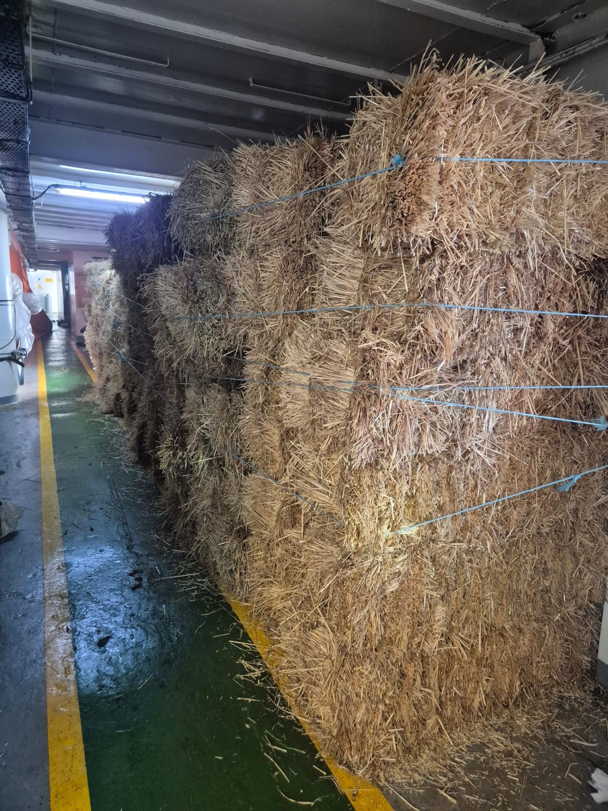 Bombeiros fazem rescaldo em navio atingido por incêndio que queimou 30 toneladas de feno em São Sebastião