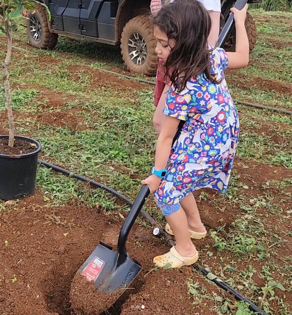  A alimentação será cultivada na própria fazenda, com ajuda das filhas, disse Mark Zuckerberg — Foto: Reprodução / Instagram