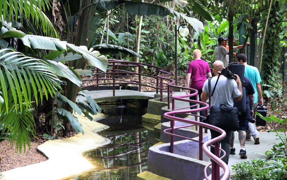 Bosque da Ciência abre portas para visitação neste domingo (7) em  comemoração ao 'Dia Nacional da Ciência' | Amazonas | G1