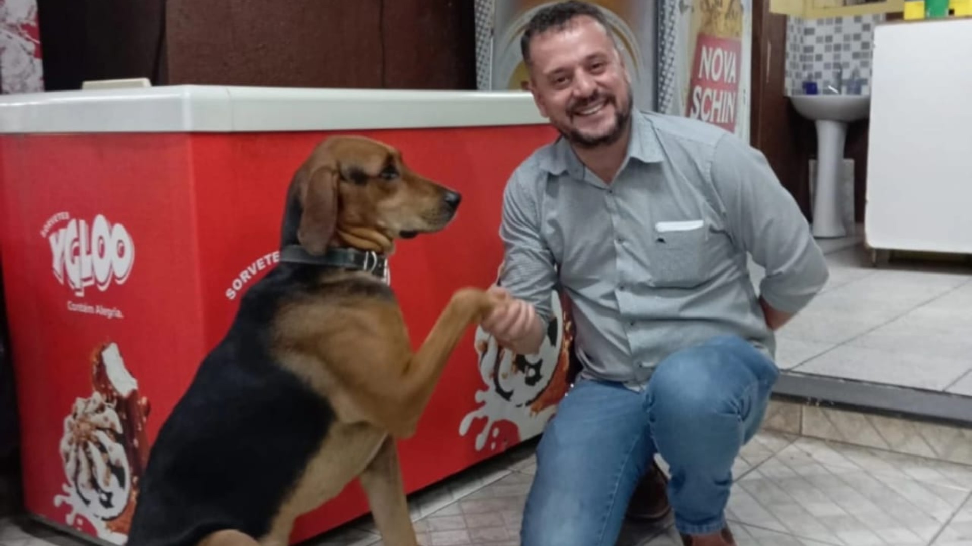 Cachorro que pediu abraço a empresário em MG chora quando tentam adotá-lo: 'Quem sabe um dia'