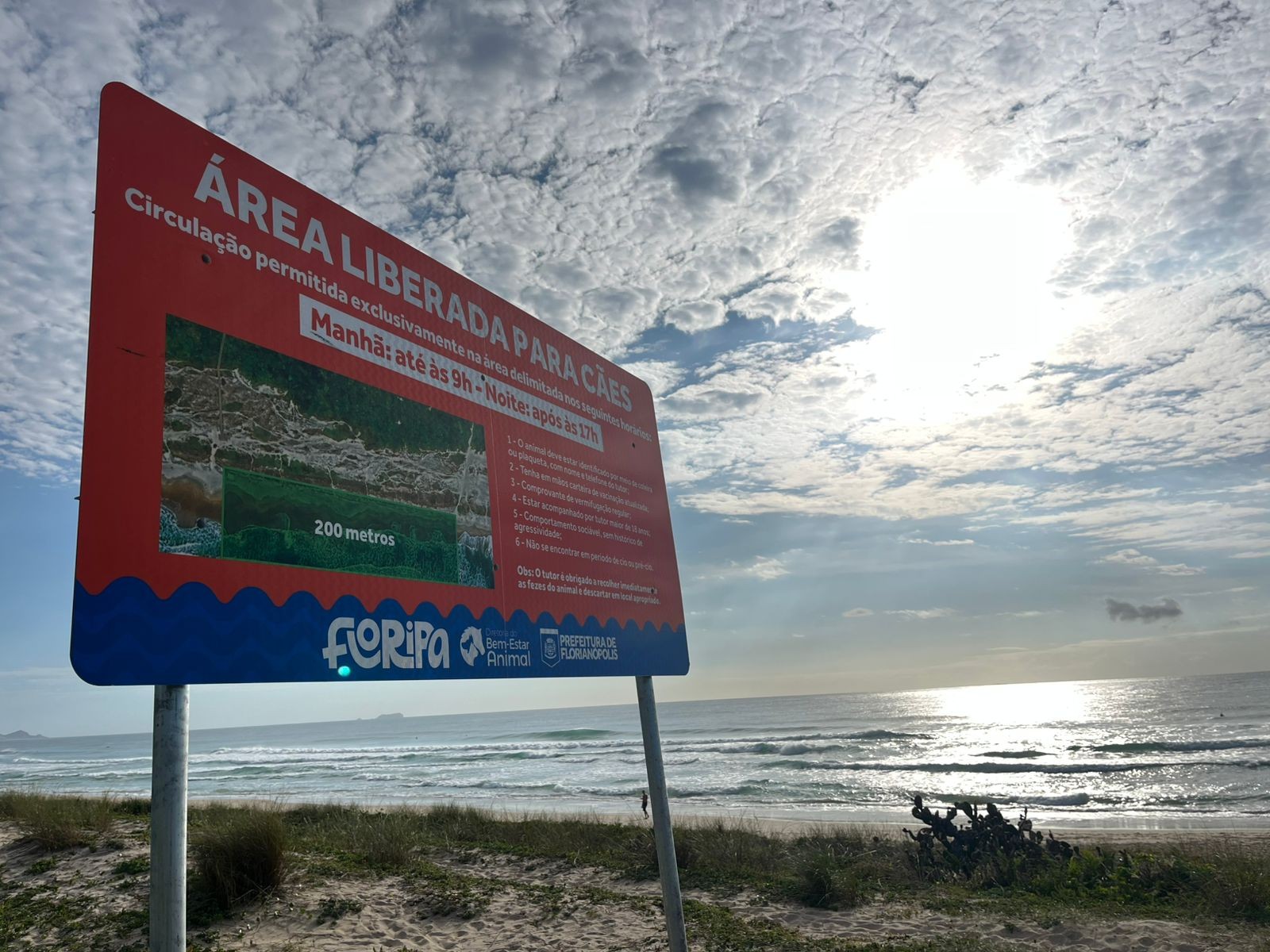 Multa para sujeira, focinheira e vacinação: as regras para presença de cães nas praias de Florianópolis