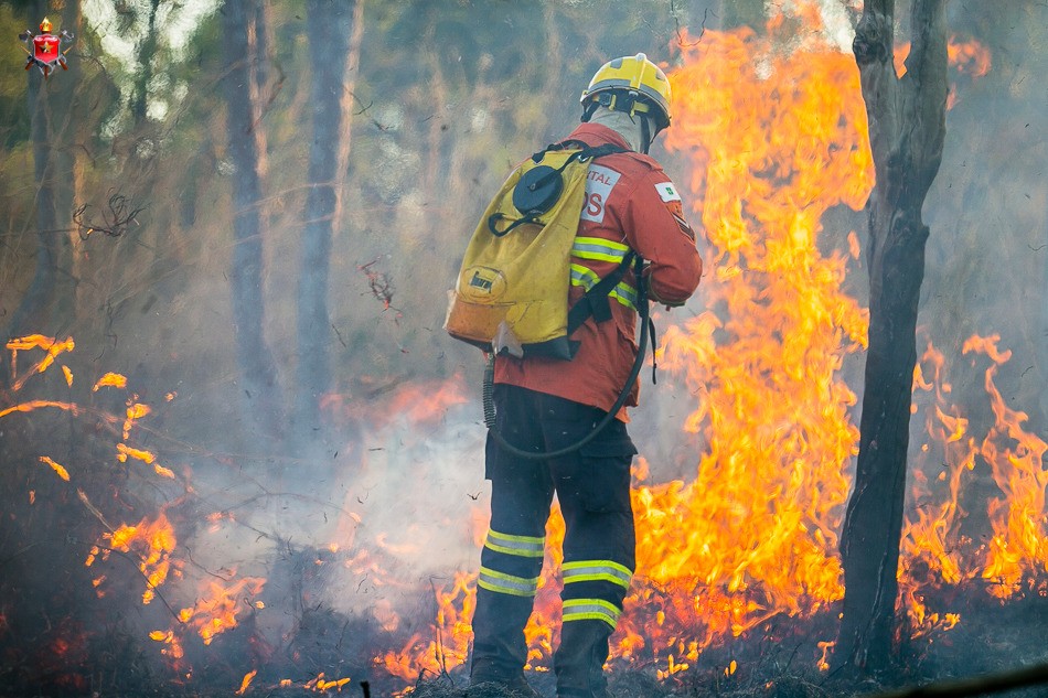 Ministério Público denuncia duas pessoas por incêndio criminoso em área de preservação ambiental no DF