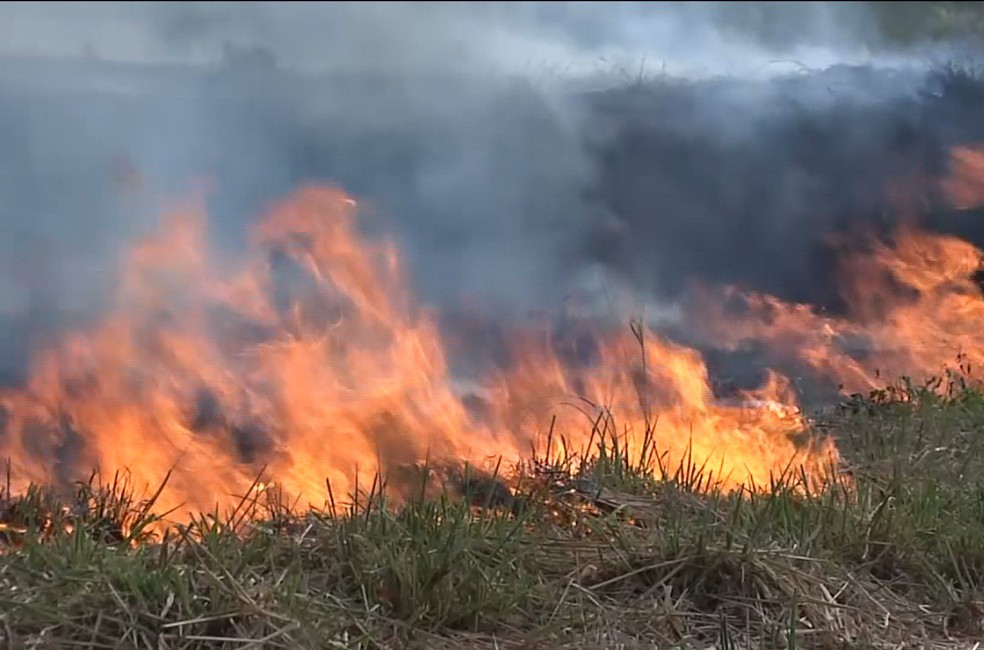 Queimadas no Maranhão cresceram 73% em julho, na comparação entre 2019 e 2020 — Foto: TV Mirante