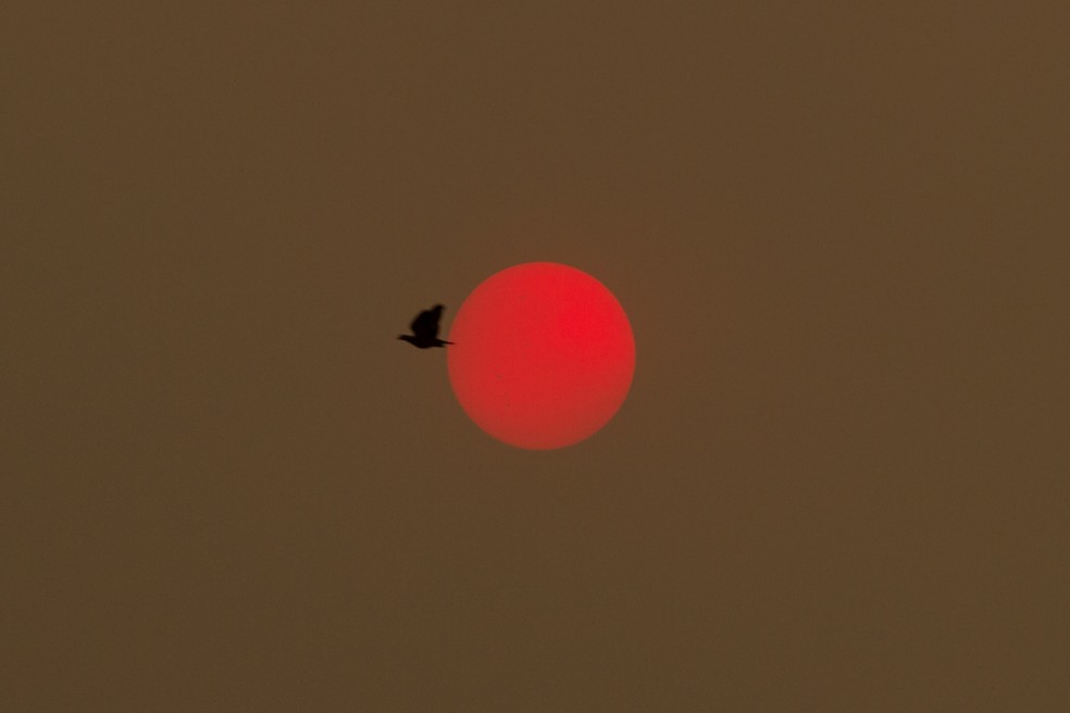 Fumaça de incêndios florestais paira sobre a cidade de Limeira (SP), nesta sexta-feira, 23 de agosto. Incêndios nas cidades vizinhas de Piracicaba, Cordeirópolis e Iracemápolis fizeram com que a fumaça tomasse a cidade. — Foto: ROBERTO GARDINALLI/ENQUADRAR/ESTADÃO CONTEÚDO
