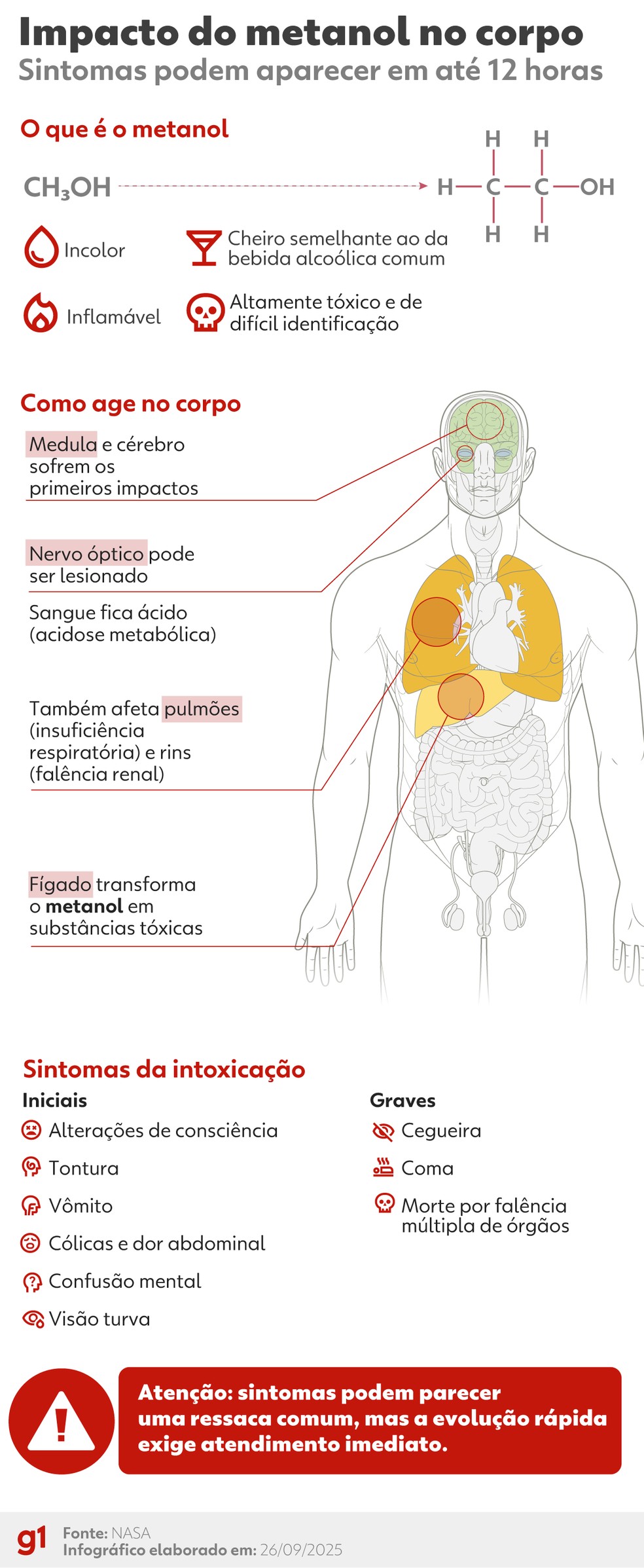 Impactos do metanol — Foto: Arte/g1