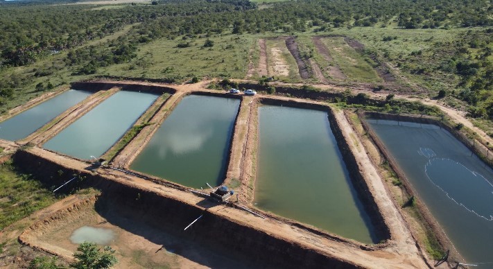 Dia de campo destaca produção de peixes desde fase inicial e capacita profissionais da piscicultura em RR