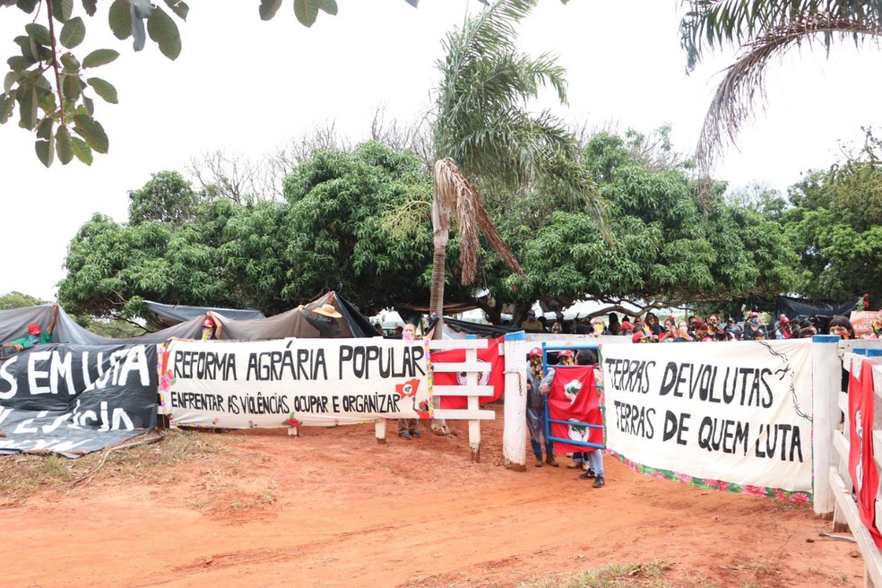 Mulheres ligadas ao MST ocuparam fazenda em Presidente Epitácio (SP), no Pontal do Paranapanema — Foto: Divulgação/MST São Paulo
