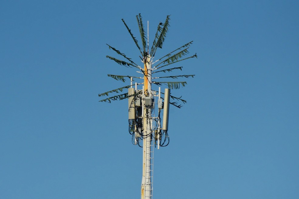 Folhas foram colocadas na parte de cima da antena — Foto: Vitor Jubini/Rede Gazeta