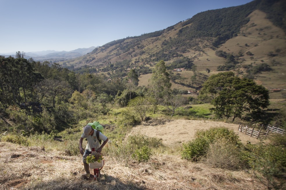 Minas Gerais é o estado que mais destruiu áreas de Mata Atlântica nos  últimos dois anos | G1