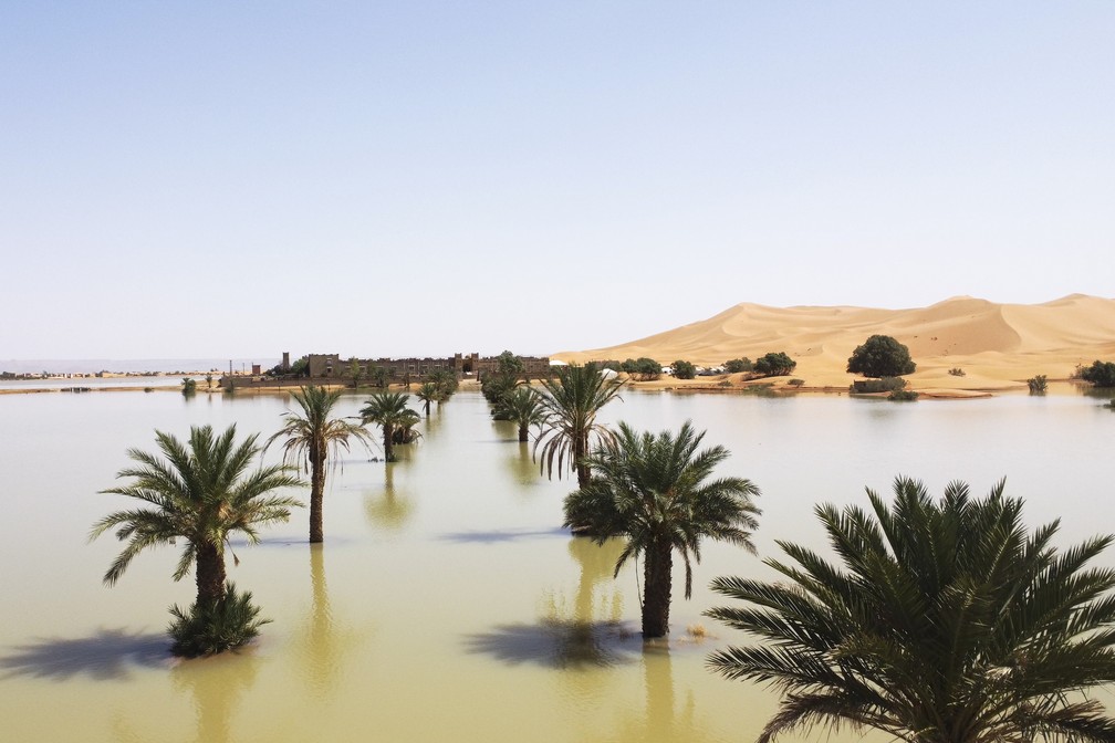 Palmeiras inundadas em lagoa formado pela intensa chuva em Merzouga, Marrocos, em 2 de outubro de 2024. — Foto: AP Photo