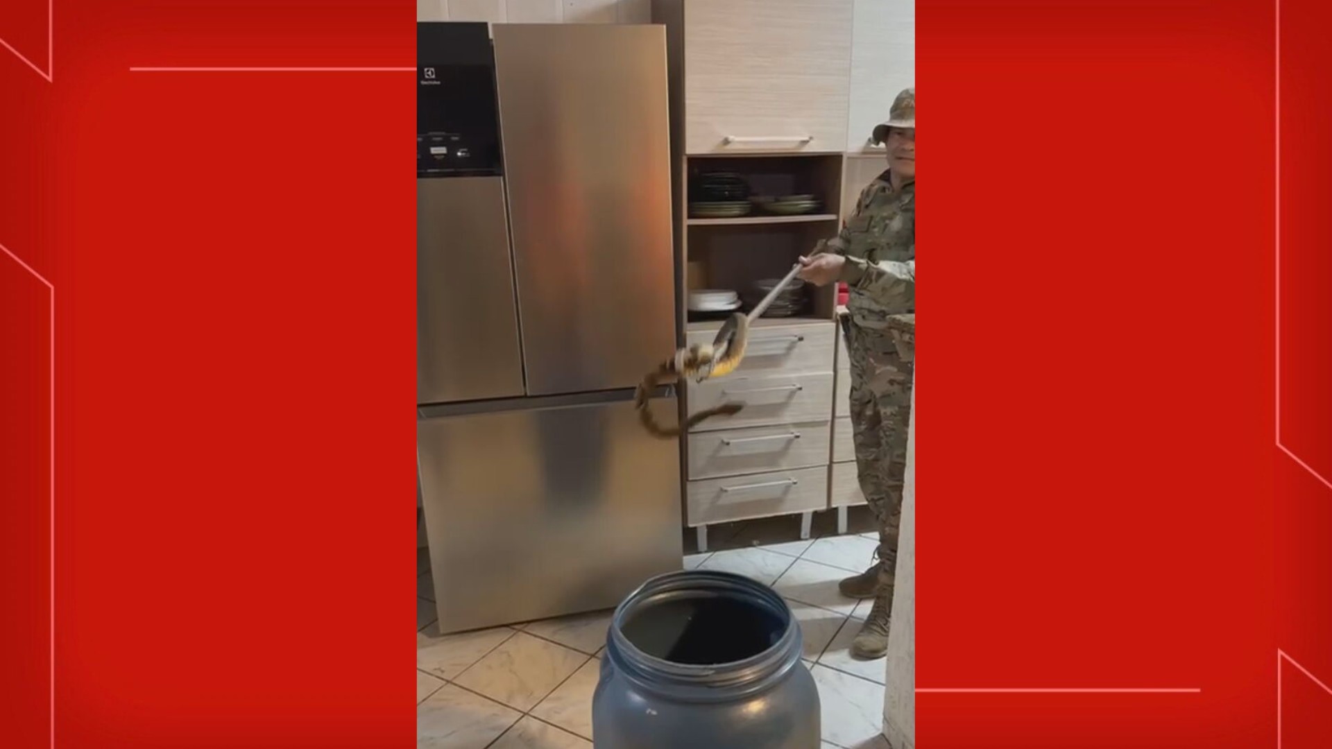 VÍDEO: morador encontra Jararaca na cozinha de casa no DF; militares resgatam animal
