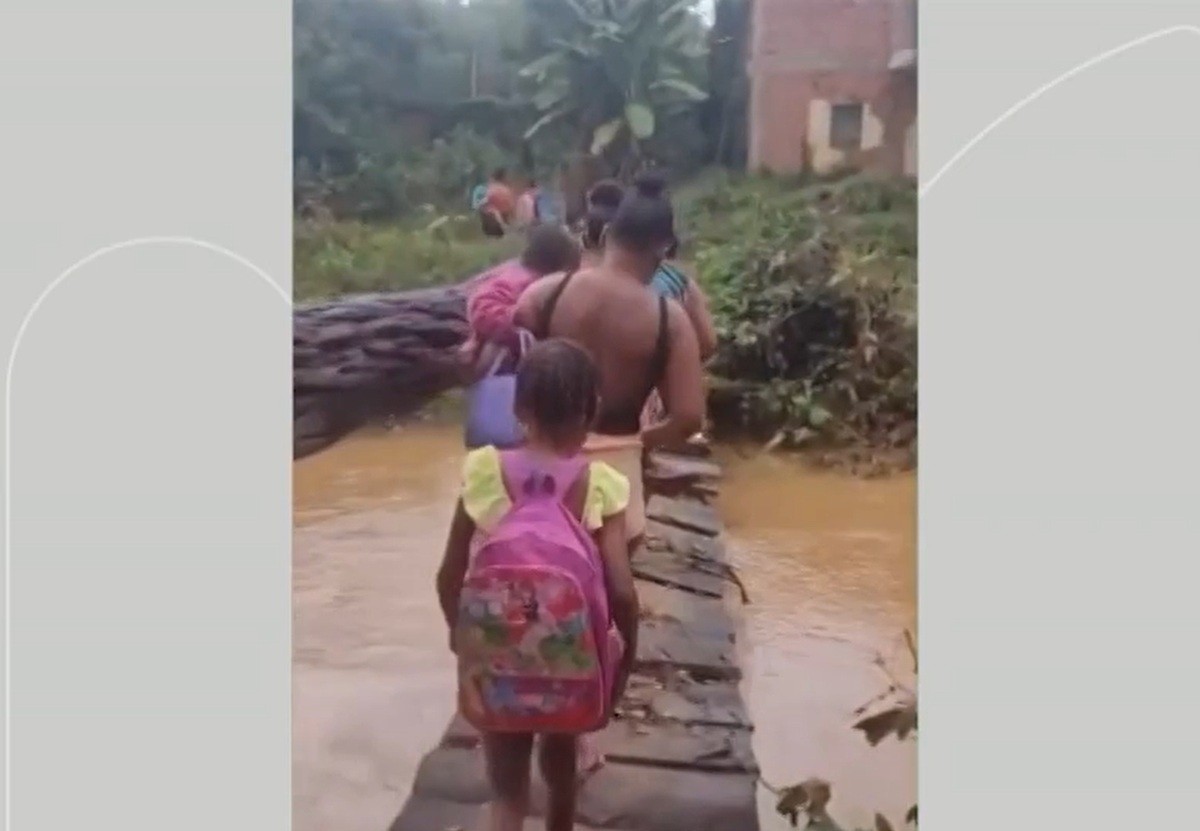 Moradores denunciam ponte de madeira em estado precário em Rio Preto, Campos 