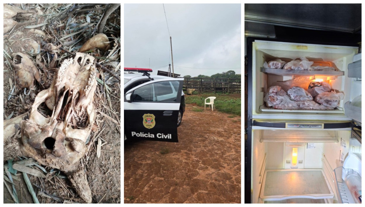Polícia descobre carne clandestina e 'cemitério' de restos de animais no interior de SP
