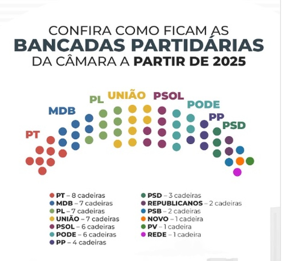 Bancada de vereadores eleitos em 2024 na cidade de São Paulo. Mandato vai de 2025 a 2028. — Foto: Reprodução/CMSP