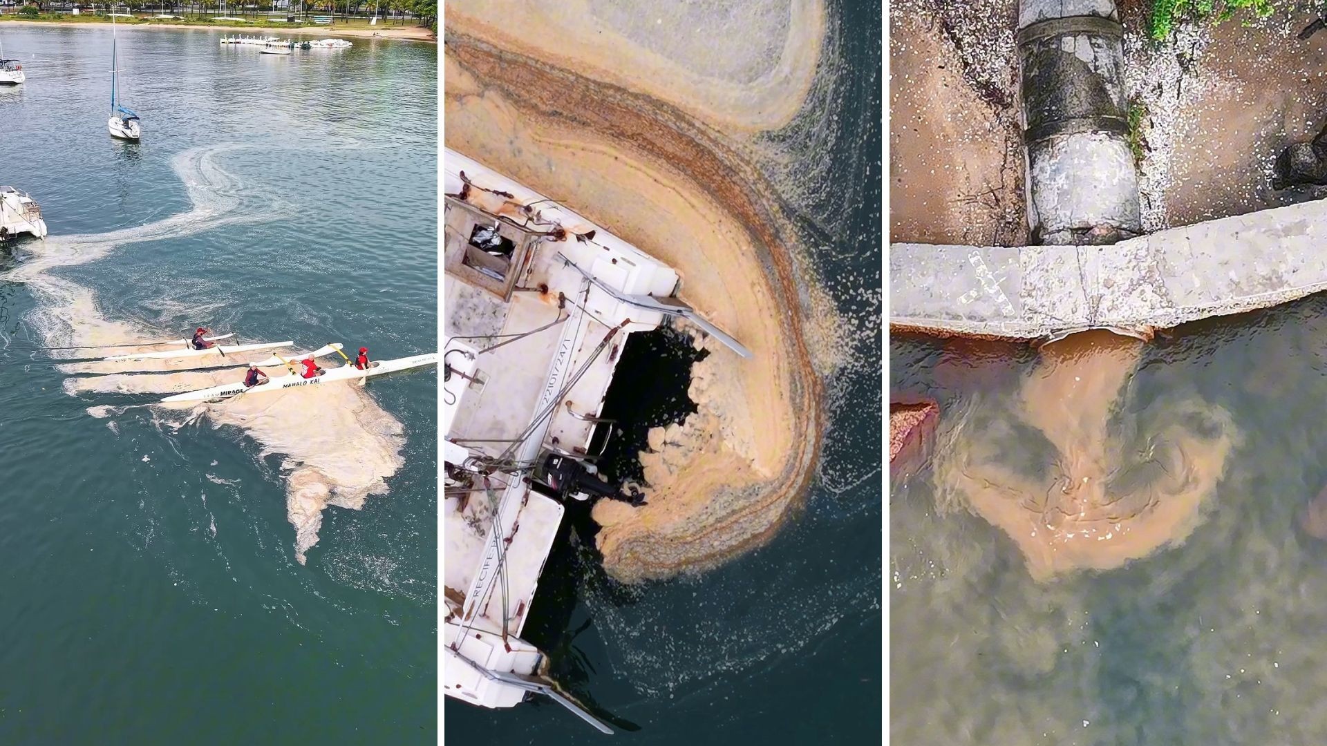 Vídeo mostra espuma e água escura no mar em Vitória; Ministério Público apura contaminação de esgoto 