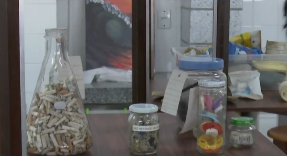 Laboratório da UFPB analisa materiais encontrados durante limpeza de praias. — Foto: Reprodução/TV Cabo Branco