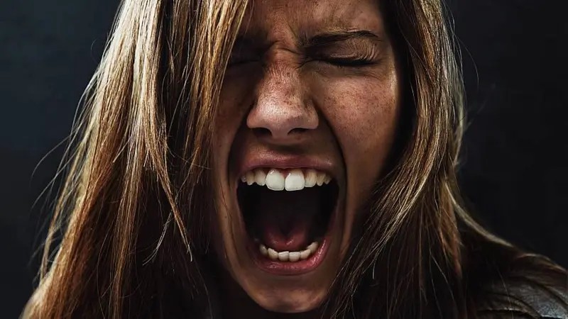 Você Não Tá Convidada pro Meu Bat Mitzvá!