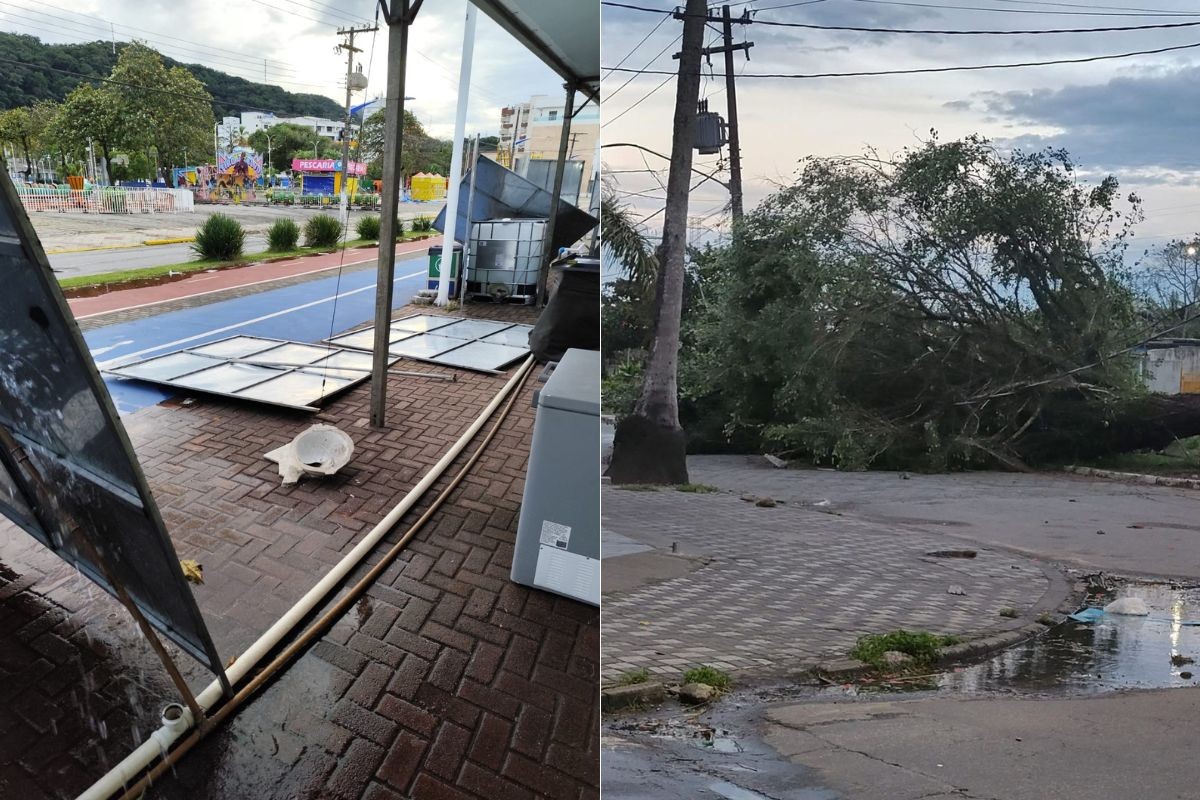 Forte ventania paralisa travessias de balsas, causa quedas de árvores e estragos na Baixada Santista, SP