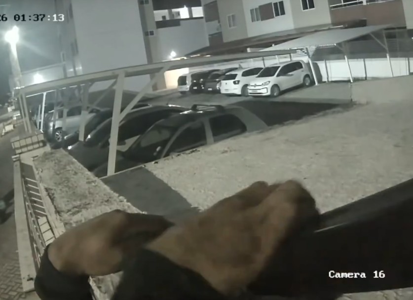 Homem é preso por tentar invadir condomínio em João Pessoa; VÍDEO