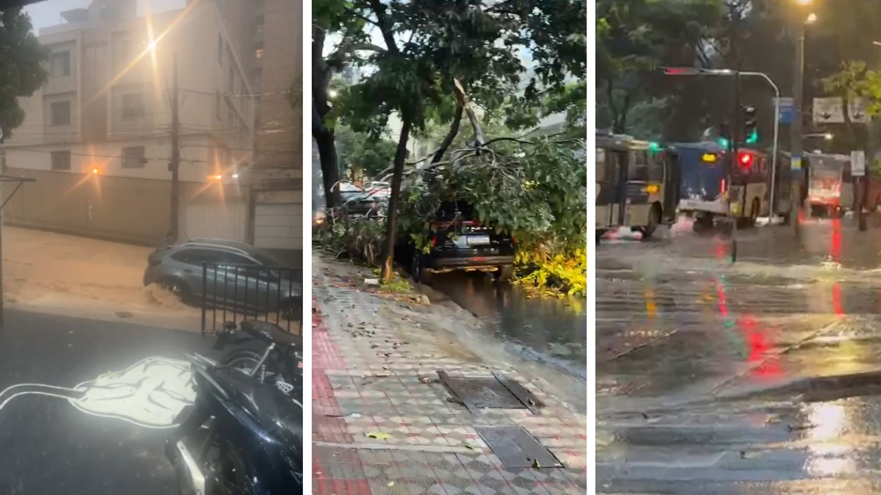 Temporal deixa ruas de BH alagadas e causa queda de árvores