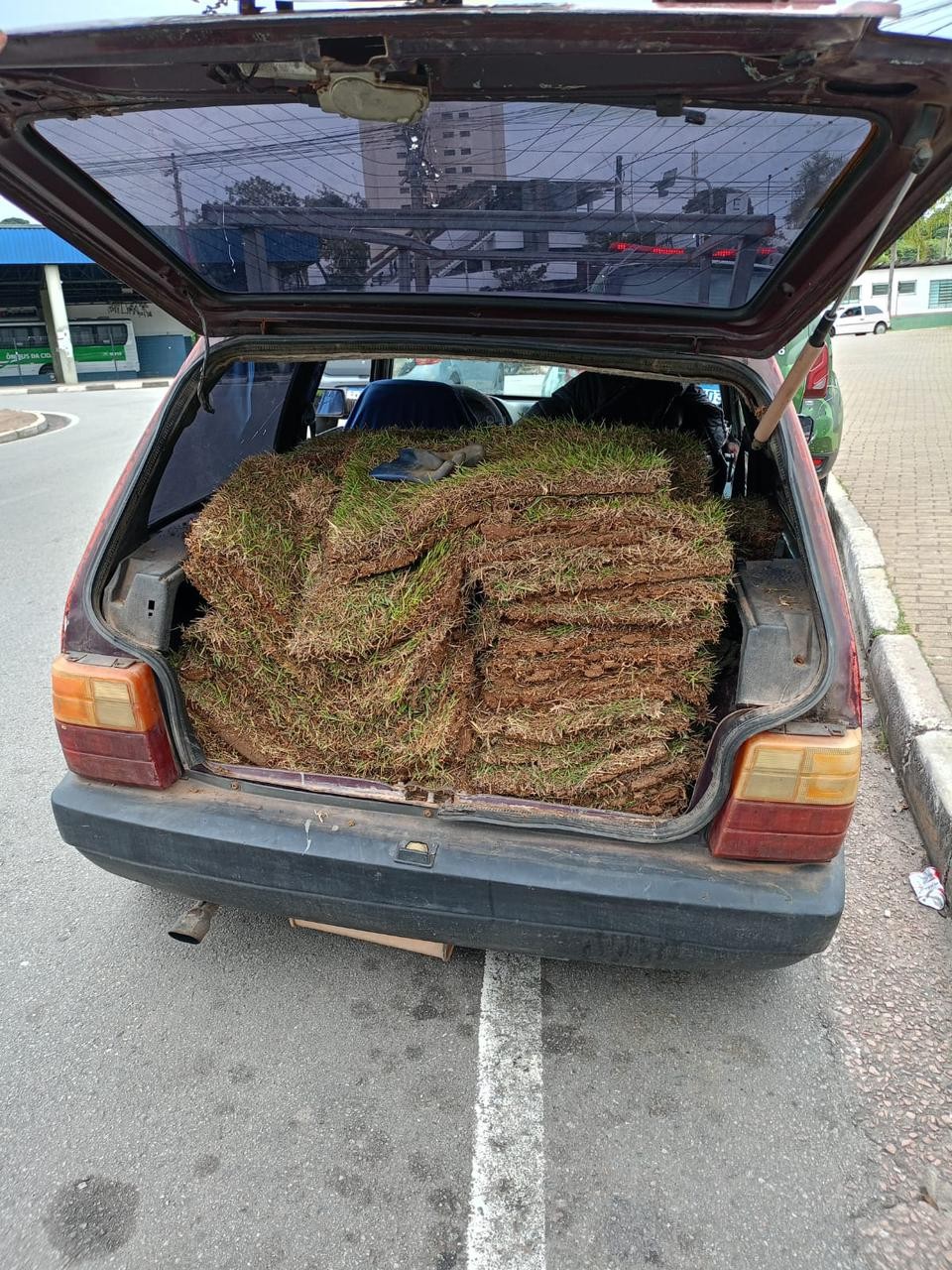 Homem é preso após Guarda Municipal encontrar carro abarrotado de grama furtada em Campo Limpo Paulista
