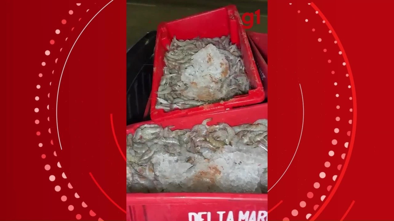 VÍDEO: Caminhão com carga de camarão tomba na BR-116 e grupo armado saqueia mercadoria