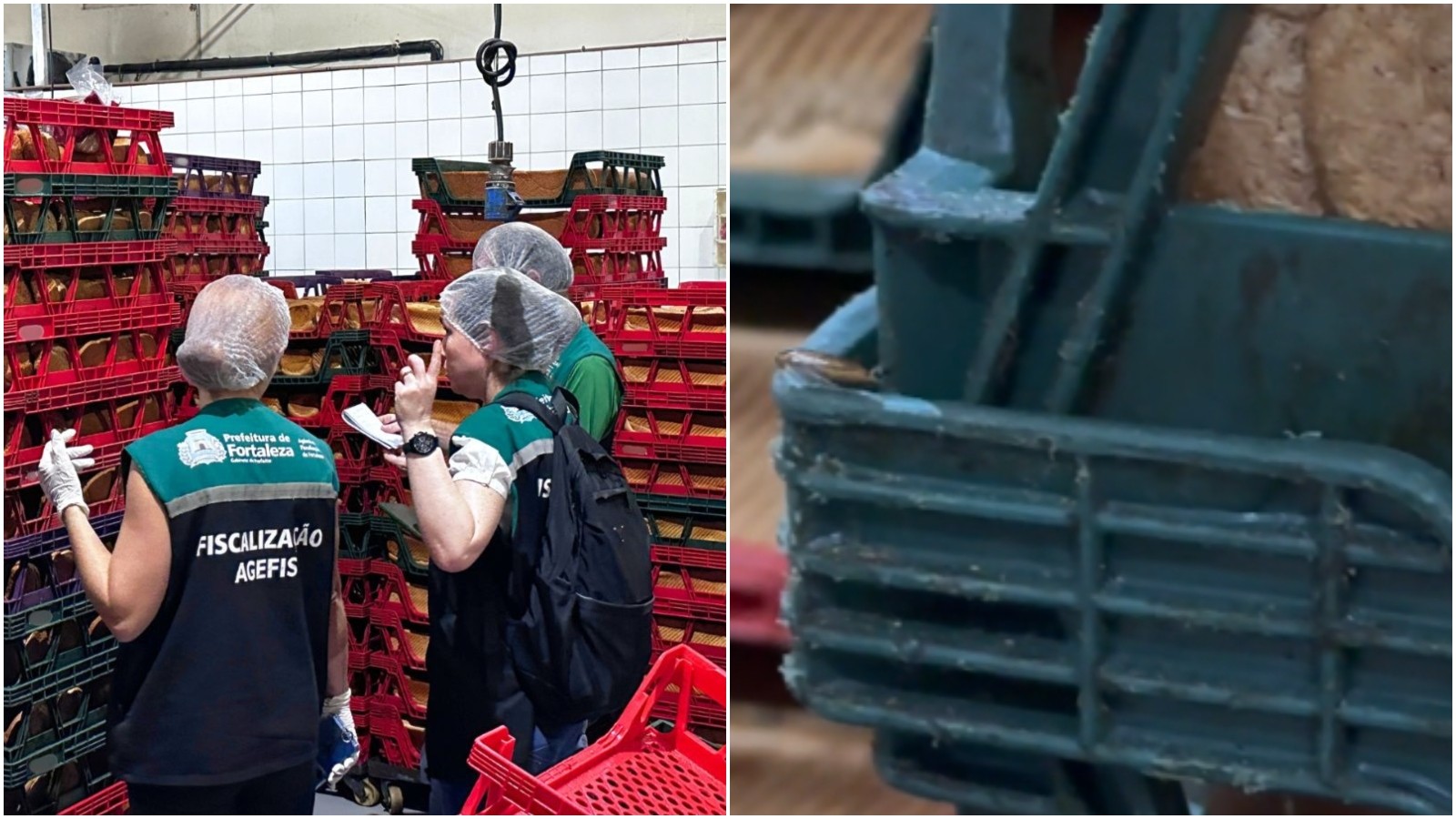 Vídeo mostra infestação de baratas em fábrica de pães interditada em Fortaleza