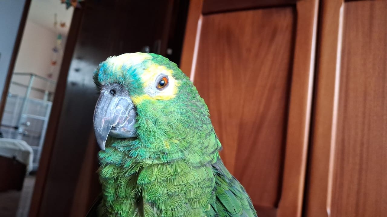 Você Não Tá Convidada pro Meu Bat Mitzvá!