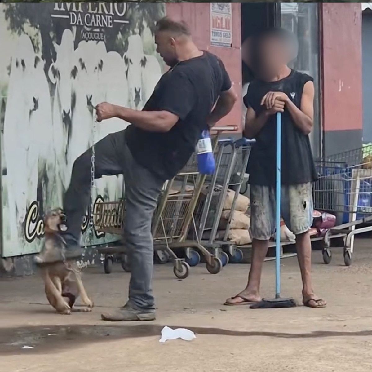 Homem é preso após ser filmado agredindo cachorro 'caramelo' em Porto Velho