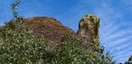 Pedra da Tartaruga
