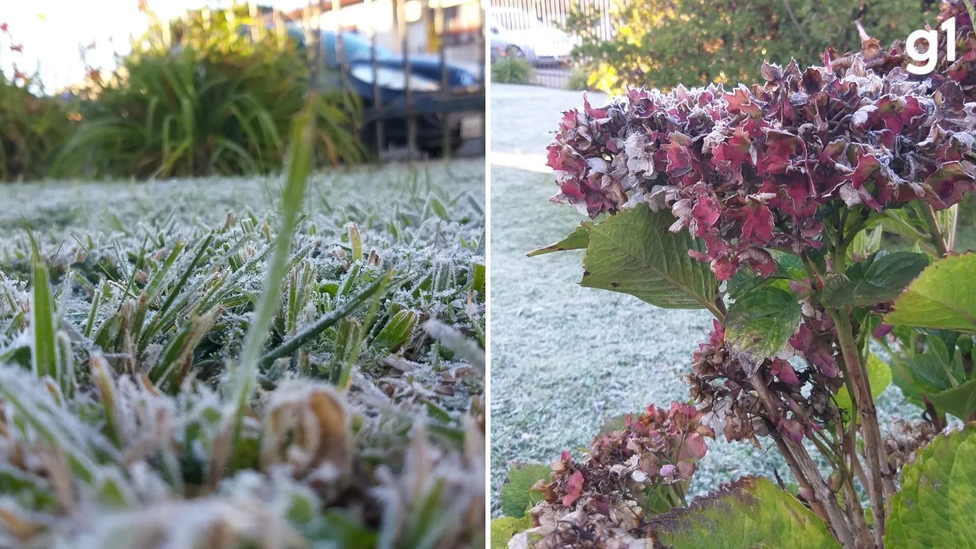 Frio não dá trégua: cidade da Serra Gaúcha tem 3º dia seguido de temperaturas negativas; veja previsão