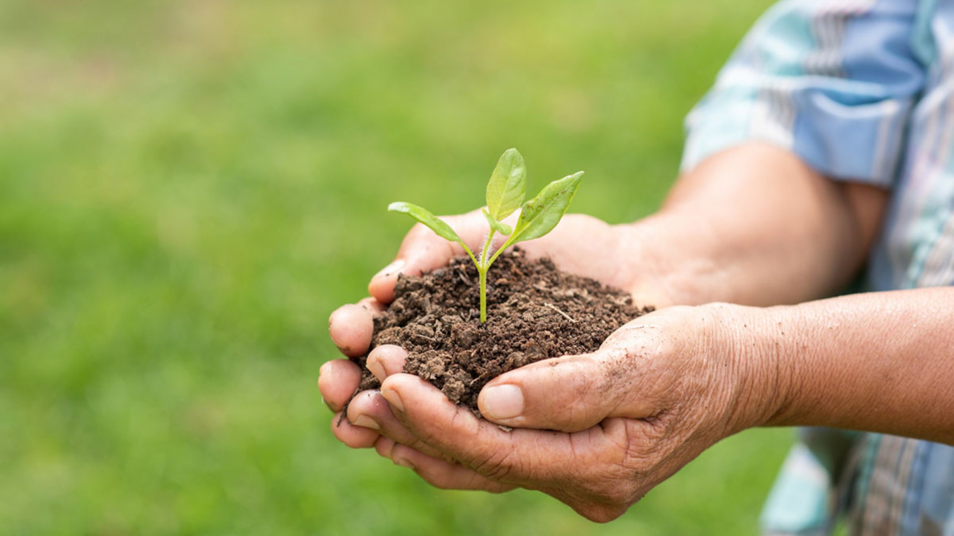 Você Não Tá Convidada pro Meu Bat Mitzvá!