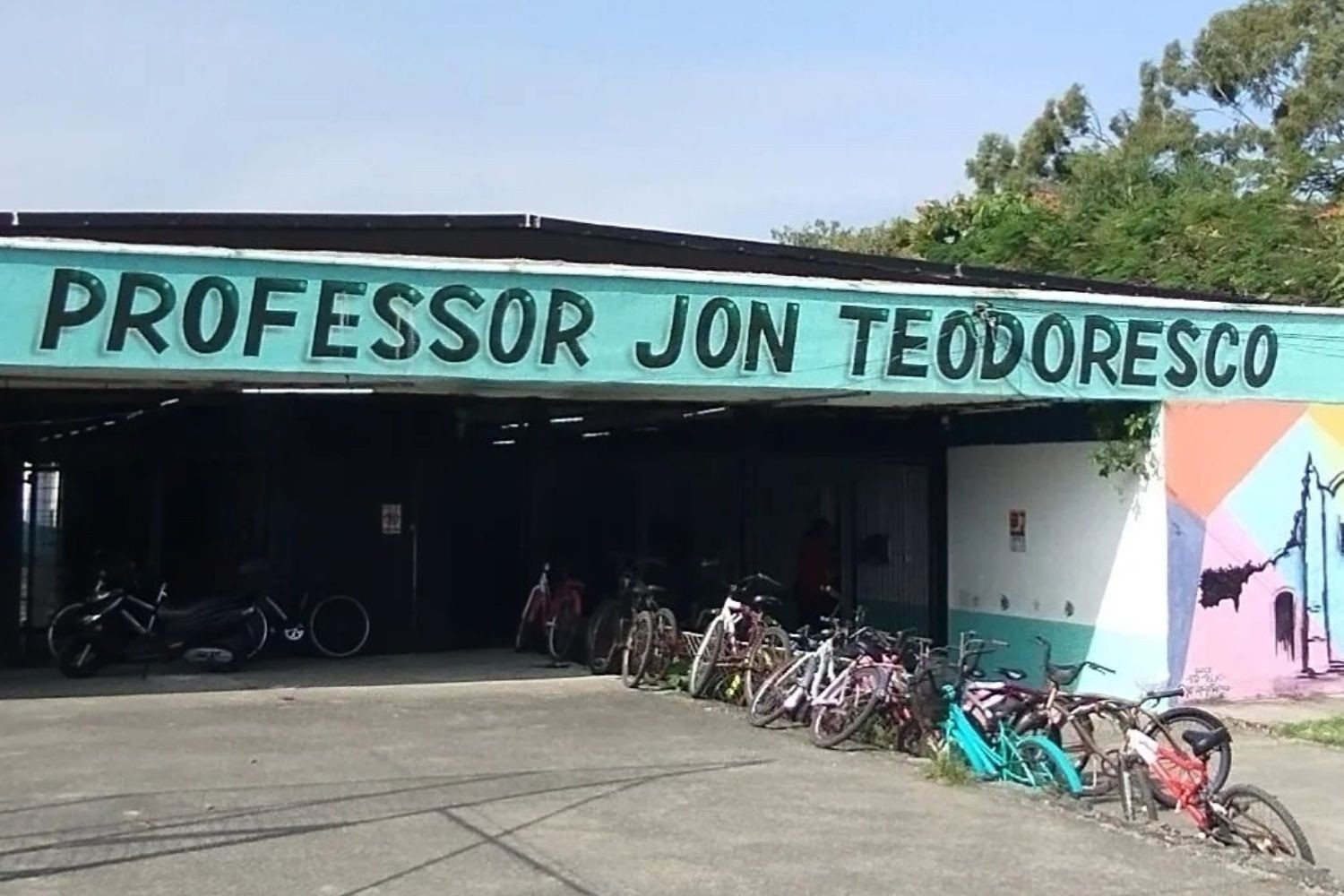 Aluno acusa professor de cometer racismo após macaco entrar em sala de aula no litoral de SP