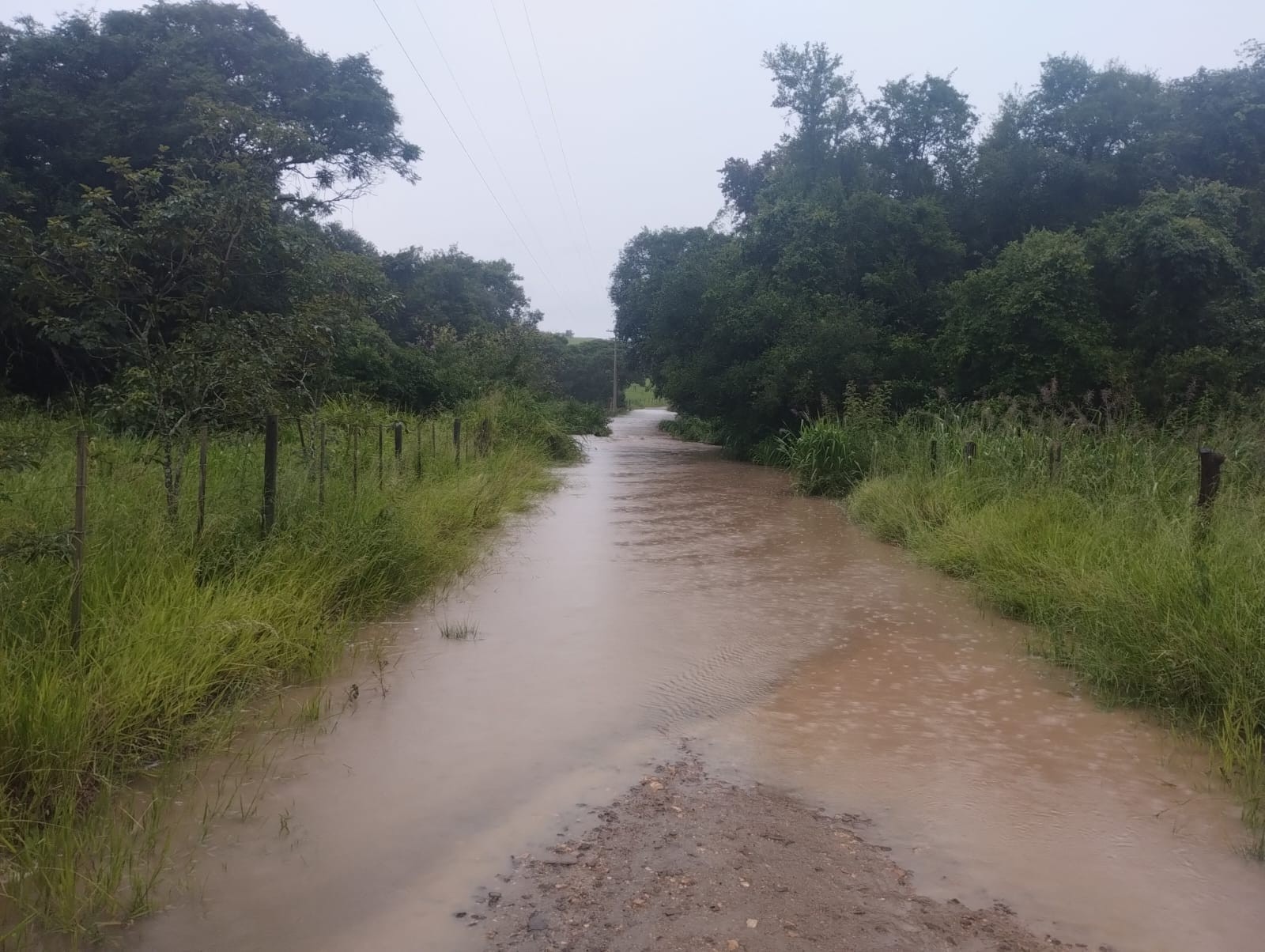 Chuva causa queda de árvores e interdita ponte em Angatuba