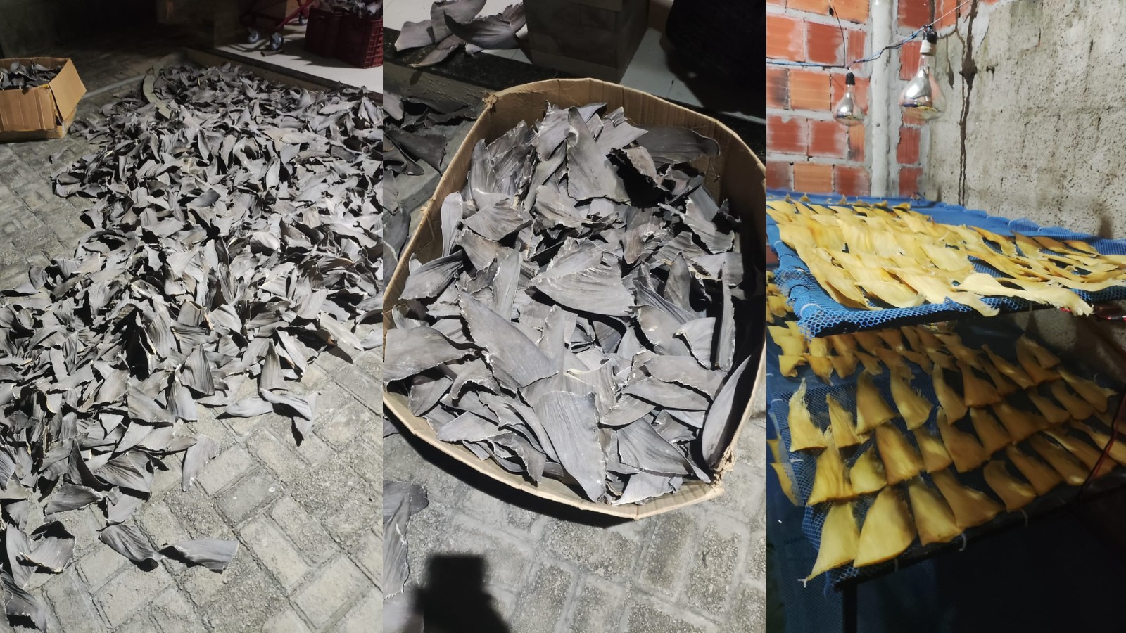 Você Não Tá Convidada pro Meu Bat Mitzvá!