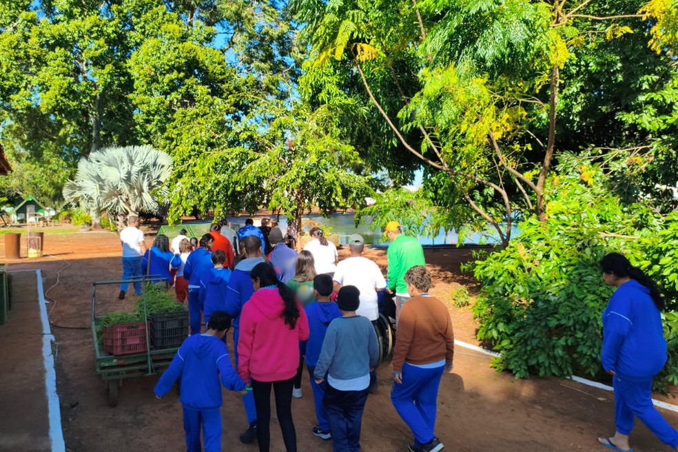 Viveiro em Presidente Venceslau prepara atividades de preservação para crianças e jovens — Foto: Reprodução