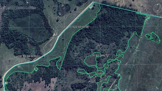 Fazenda em MS é investigada por desmatar vegetação de Mata Atlântica - Foto: (Autos de Vistoria)