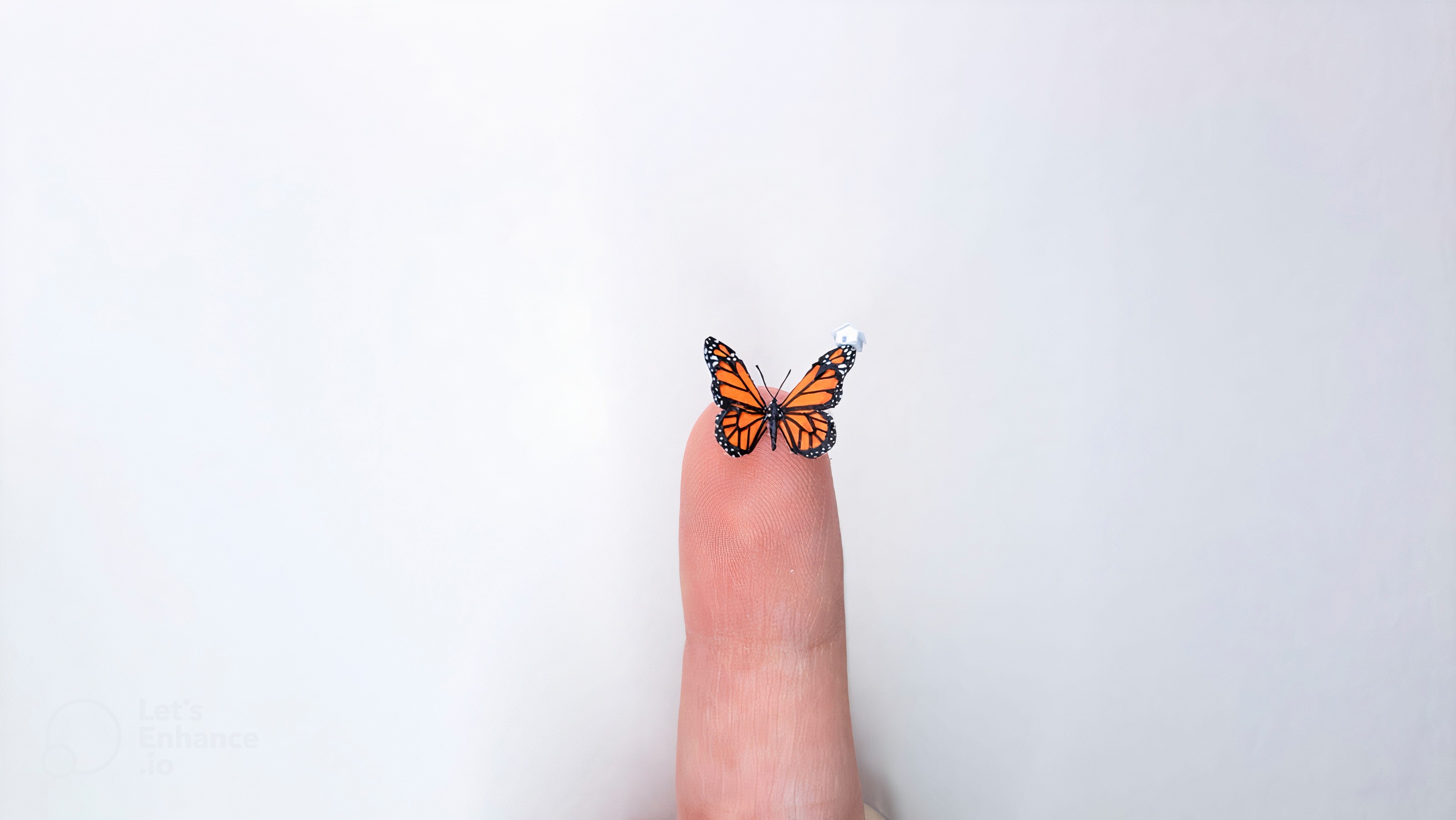 Bióloga cria miniaturas da natureza menores que a ponta de um lápis